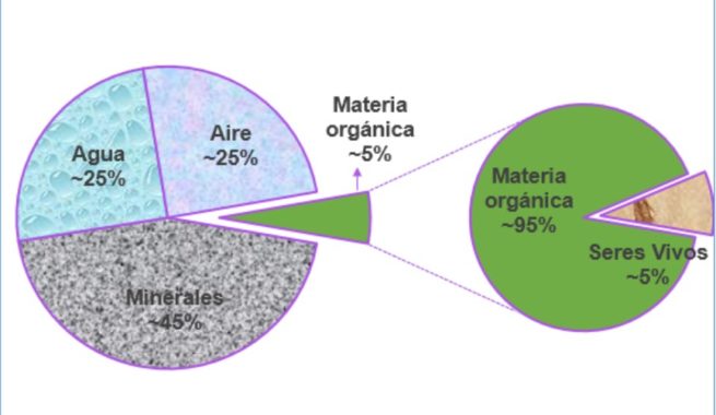 ¿qué es el suelo? Componentes del suelo según su proporción - Blog Caro Lagos