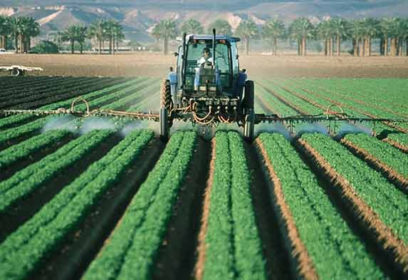 Diferencia jardinería y agricultura-Caro Lagos