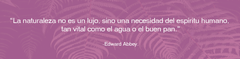 Frase Celebre: La naturaleza no es un lujo, sino una necesidad del espíritu humano, tan vital como el agua o el buen pan. Edward Abbey.