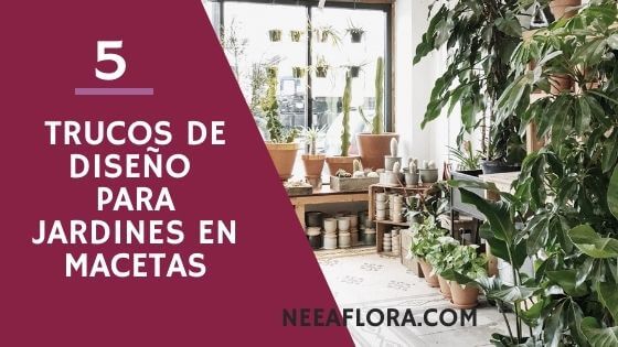 Diseño de jardines en macetas 5 trucos geniales Blog Caro Lagos