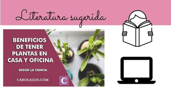 Literatura sugerida beneficios de tener plantas en casa y oficina-Caro Lagos