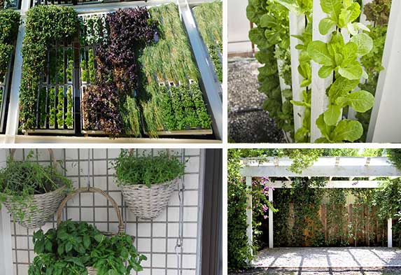 Post ideas para hacer un jardin Jardines Verticales Muros Verdes-Caro Lagos