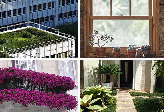 Ideas para hacer un jardín Jardines en azoteas y techos Jardines de Ventanas Jardines de balcones Jardines de entrada casas. Caro Lagos