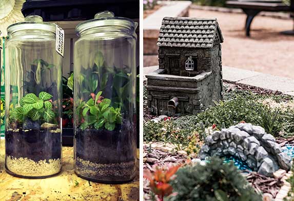 Post ideas para hacer un jardín Terrarios y Jardines en miniatura. Caro Lagos