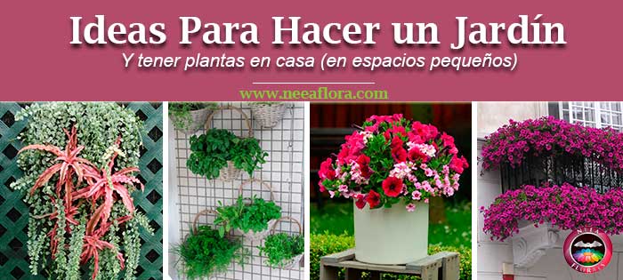 Post ideas para hacer un jardín y tener plantas en casa en espacios pequeños. Caro Lagos