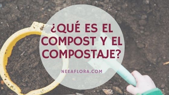 ¿Qué es el compost? y ¿qué es el compostaje? Blog Caro Lagos