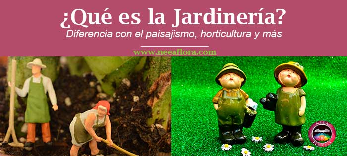 ¿Qué es la jardinería? Además ¿Qué diferencia hay entre la jardinería y el paisajismo, horticultura, agricultura, floricultura y otros términos? En este artículo lo explicaré rápido y fácil-Caro Lagos