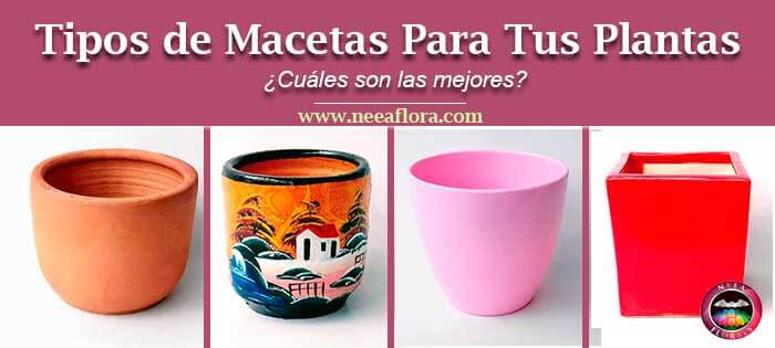 Artículo tipos de macetas para tus plantas cuáles son las mejores según sus materiales-materas-macetas-de-barro-terracota-cerámica plásticas metálicas y-más Neea-Flora. Puedes comprar estas materas en Bogotá en el vivero virtual a domicilio Caro lagos